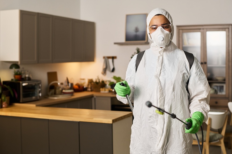 Are They Worth It? In-Depth Hawx Pest Control Reviews